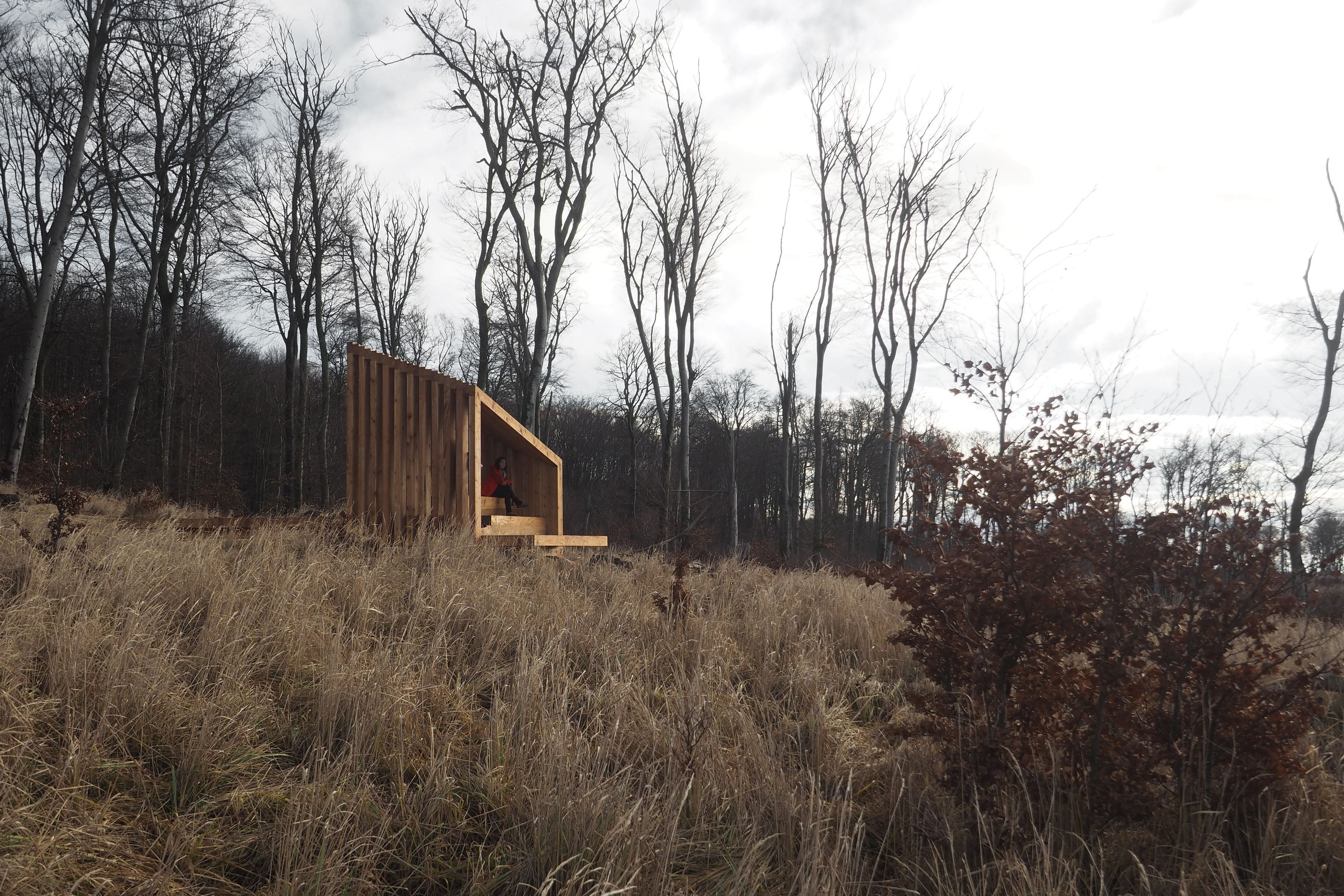Vydrica